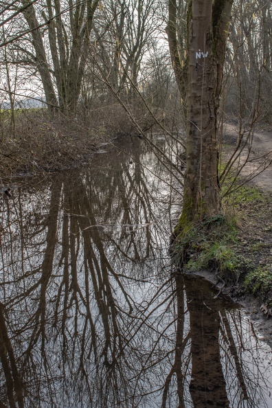 Der Aubruchkanal liegt in der Hochflutrinne,die sich von Uerdingen über Kaldenhausen und Moers Richtung Rheinberg durch die linksrheinische Nierderterrasse zieht.Etwa 150 Meter weiter vereinigt sich der Aubruchkanal mit der Überflutungsfläche des NSG Schwafheimer Meer aubruchkanal_5949.jpg