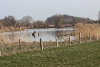 Schwafheimer Meer