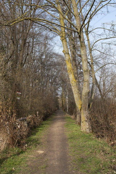 Der Rundwanderweg am NSG Schwafheimer Meer führt auch am Aubruchkanal entlang weg_aubruchkanal_5920.jpg