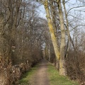 Wanderweg