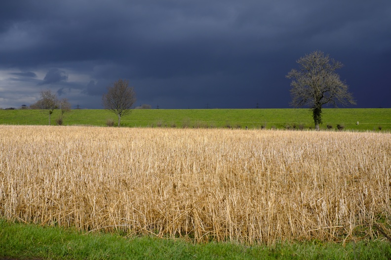 deich_und_feld.jpg