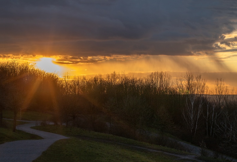 abendstimmung_halde_rheinpreussen_4151.jpg