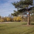 bergsee_spielplatz_4247.jpg