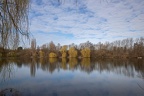 Bergsee Westufer (794 visits) Trauerweiden am Westufer des Bergsees im Stadtteil Schwafheim Bergsee Westufer