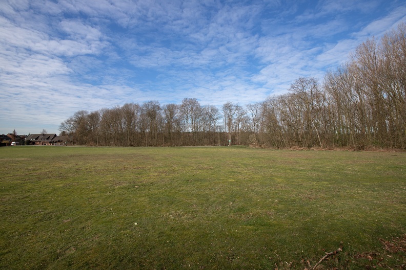 Häuser am Wald