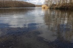 Wolkenspiegelung (838 visits) Wolken spiegeln sich im Waldsee an der Nordseite der Bergehalde Rheinpreußen Wolkenspiegelung