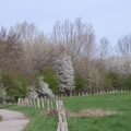 Steinkohleweg im Frühling