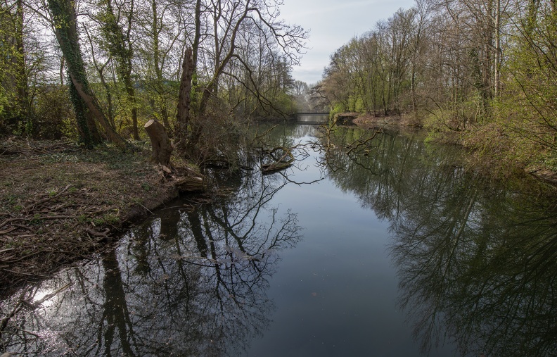 Natur am Bach