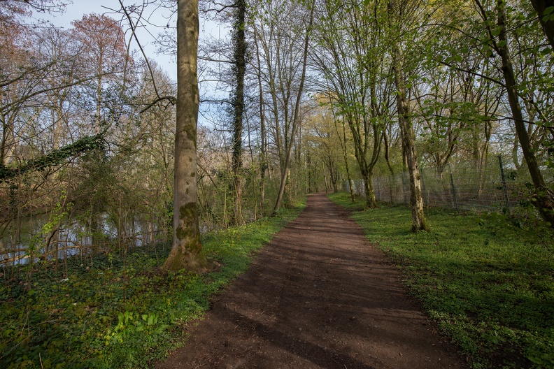 Steinkohleweg