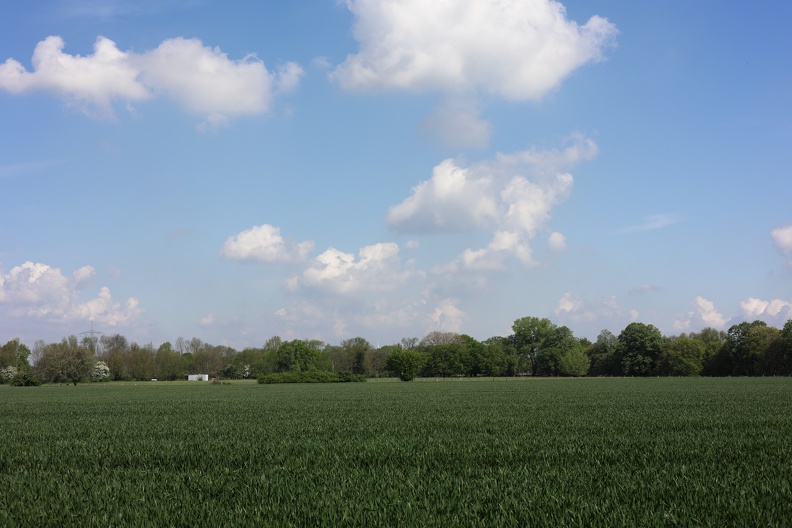 Feld und Wald 