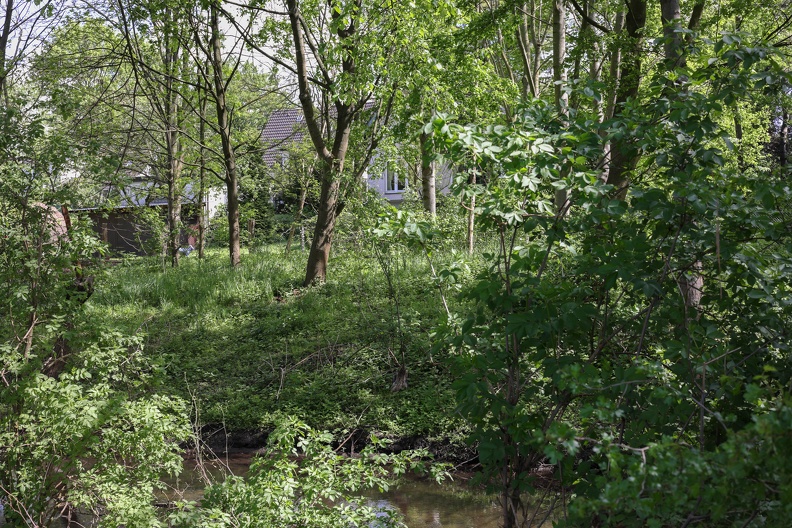 Wohnen im Grünen in ruhiger Lage am Bach haeuser_am_moersbach_7478.jpg