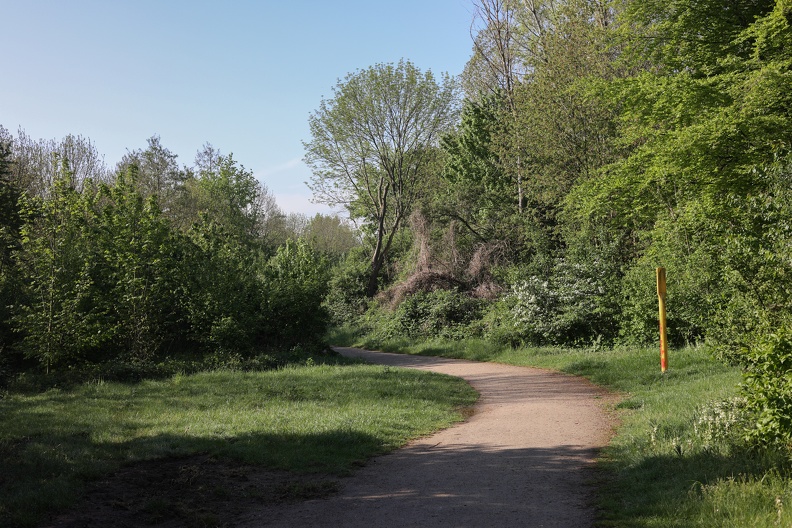 Steinkohleweg im Frühjahr