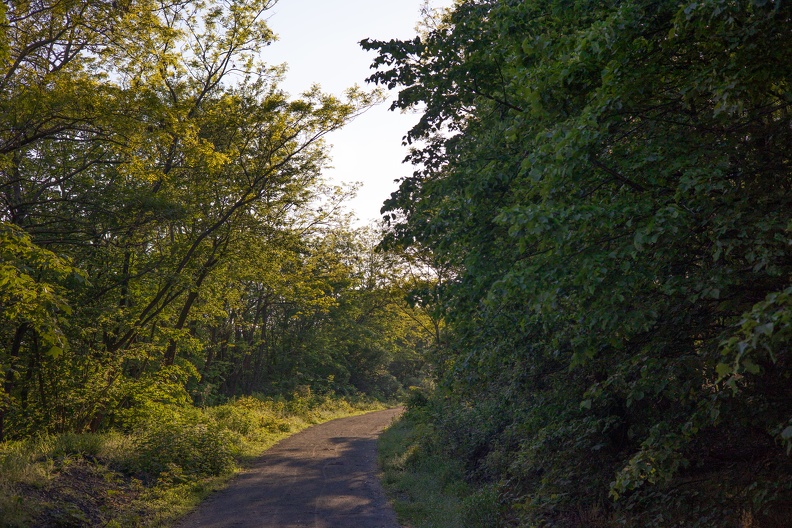 Haldenweg