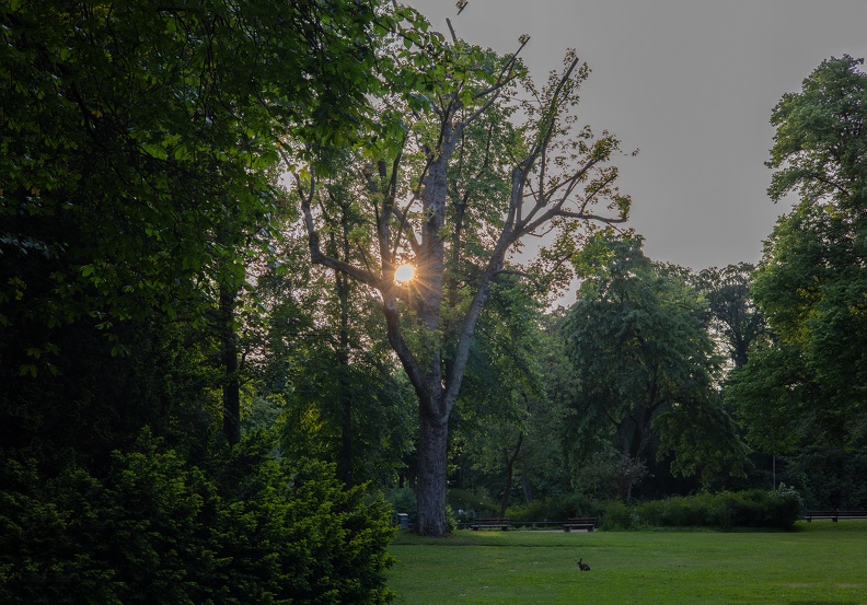 Abendstimmung im Schlosspark schlosspark_abends_5752.jpg