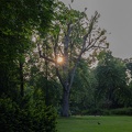 schlosspark_abends_5752.jpg