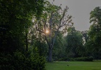 Abendsonne