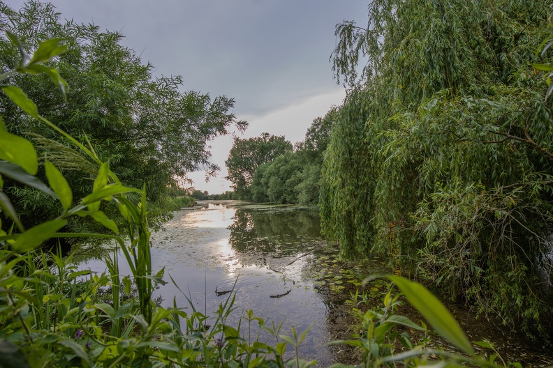 Abends am Schwafheimer Meer