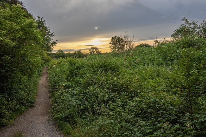 Abends am Schwafheimer Meer,Ruhe und Entspannung pur nsg_schwafheimer_meer_2885.jpg