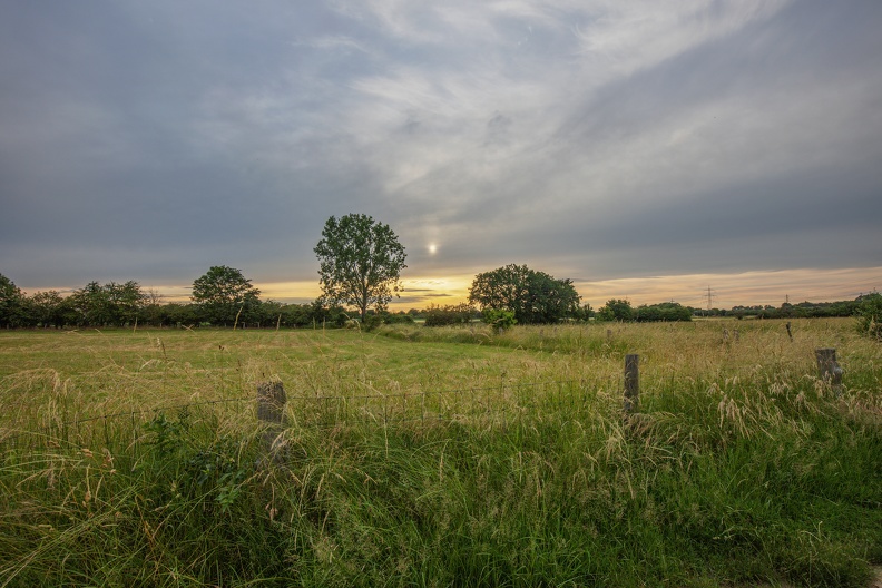 Schwafheimer Meer am Abend