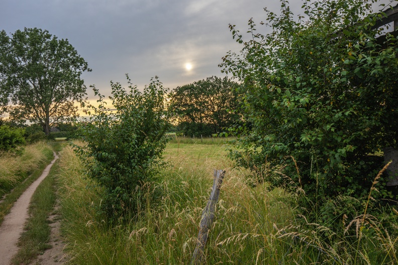 Abendstimmung am Schwafheimer Meer vor Sonnenuntergang nsg_schwafheimer_meer_2889.jpg