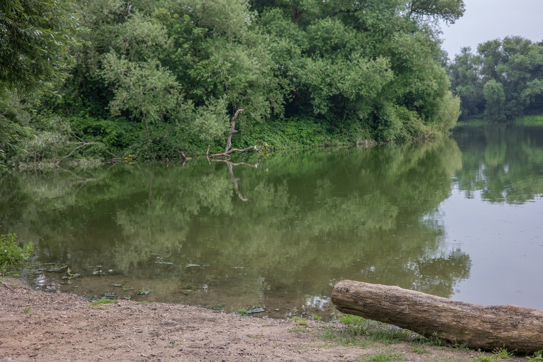 Angelteich mit Vegetation und Baumstamm am Ufer angelteich_repelen_6324.jpg