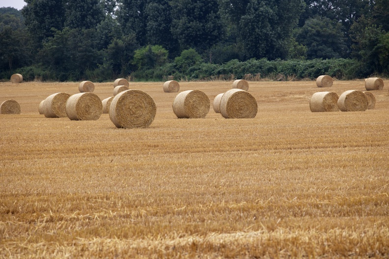 Strohballen 