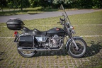 Guzzi
