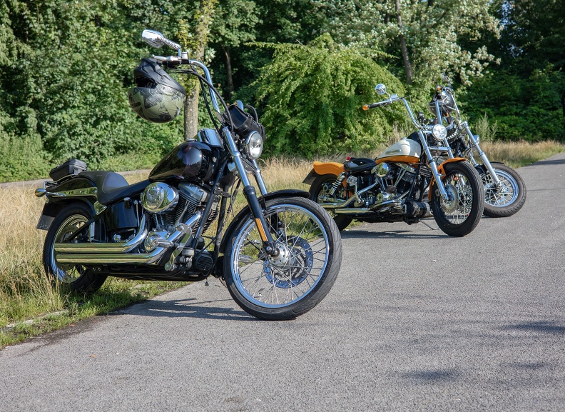 Harleys