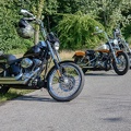 Harleys