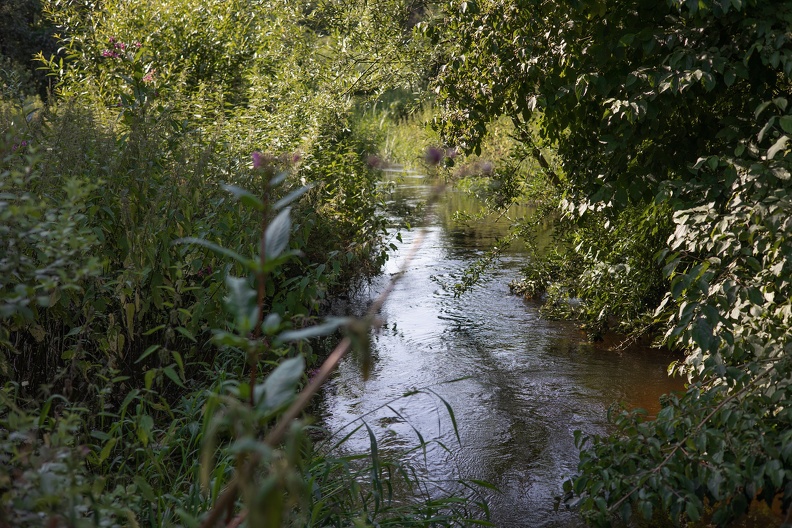 Hochwasser Dickelsbach 