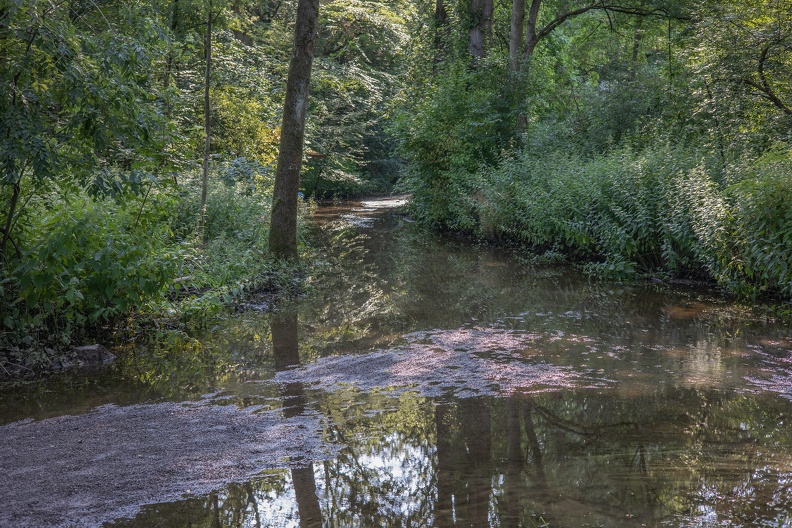 Wanderweg Stadtwald