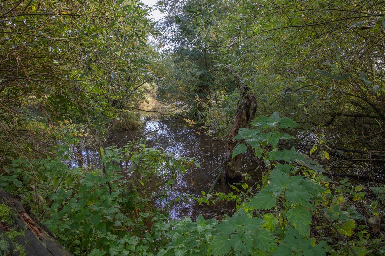 Herbstimpressionen