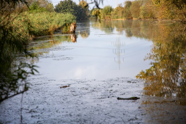 schwafheimer_meer_herbst_8695.jpg