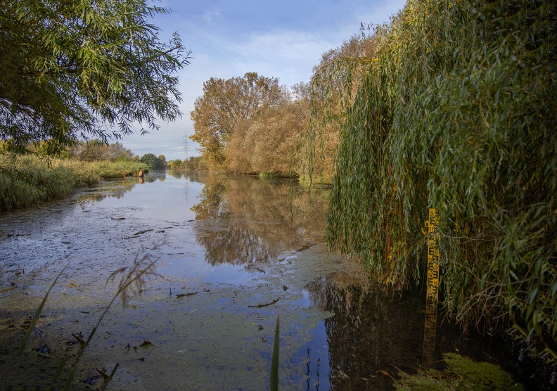 Herbst am Schwafheimer Meer