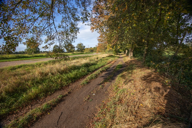 Wanderweg im Herbst