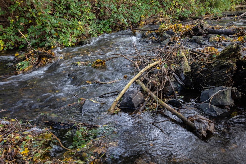 moersbach_herbst_8815.jpg