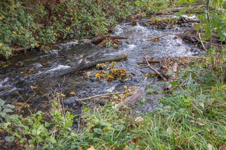 Herbst am Bach