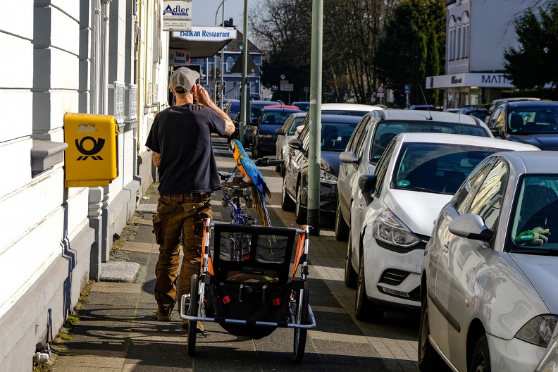 Der Mann hat einen Vogel. Der sitzt brav auf dem Fahrrad und schaut ihm beim Kaffeetrinken zu. DSCF3002.jpg