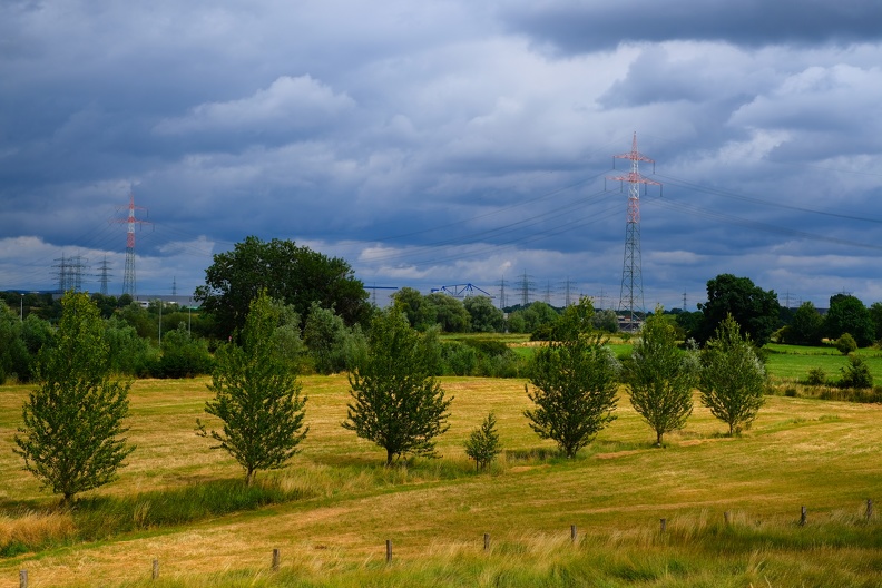 Das Licht allein und die kräftigen Farben machen die Szene sehenswert. DSCF4968.JPG