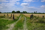 Tor zum Feld