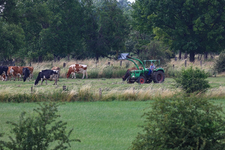 Der Bauer auf dem Traktor